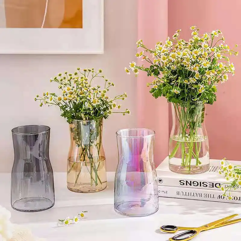 אגרטל זכוכית נורדי לעיצוב הבית הסלון קישוט אקווריום אגרטל פרחים צמחים עציצים דקורטיביים ואביזרים, קישוט מתנות